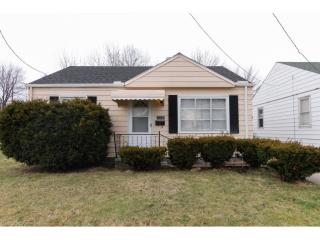13410 Wainfleet Ave, Cleveland OH  44135-4910 exterior