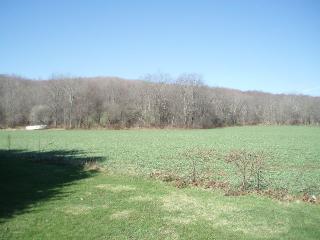 6571 Bowers Rd, Stockton, NY 14784-9605