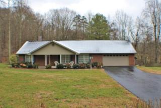 334 Greentree Dr, Blountville, TN 37617-3853