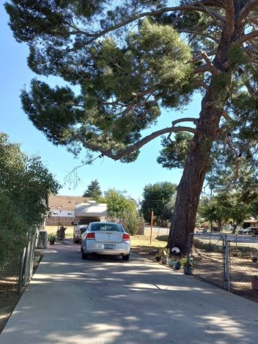 1002 Magnolia Ave, Beaumont CA  92223-1837 exterior