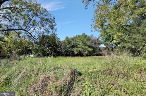 310 Main St, Edinburg VA  22824-9439 exterior