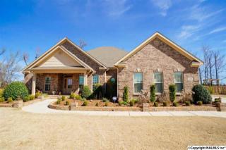 238 Nettles Dr, Madison, AL 35757-7619