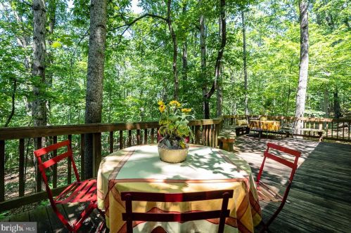 241 Blue Smoke Ln, New Market VA  22844-3815 exterior