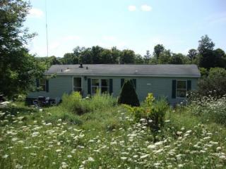 274 Chipman Corners Rd, West Groton, NY 13073-8405