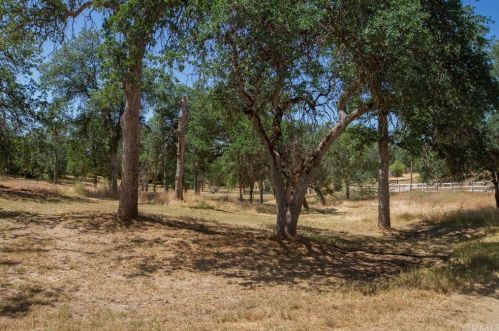 51655 Wildmint Ln, Orange Cove CA  93675-9693 exterior