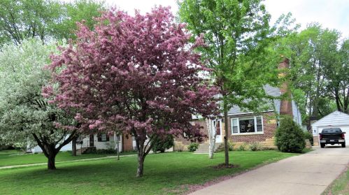 1921 Glenpaul Ave, Saint Paul, MN 55112-7917