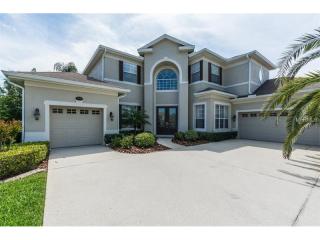 16646 Ivy Lake Dr, Odessa, FL 33556-6018