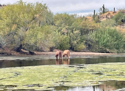 102 101st St, Mesa AZ 85207-8125 exterior