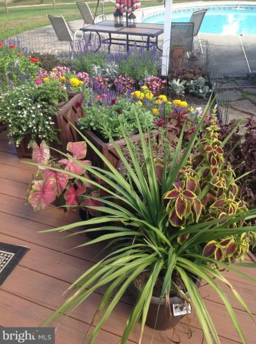 1209 Knollbrook Dr, Lansdale PA 19446-5117 exterior