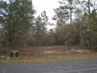 4421 Little Dove Ter, Hernando, FL 34442-2848