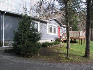 39311 Amboy Rd, Yacolt, WA 98675-5114