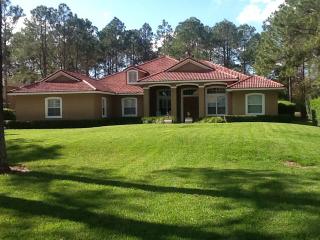 17406 Brown Rd, Odessa, FL 33556-1931