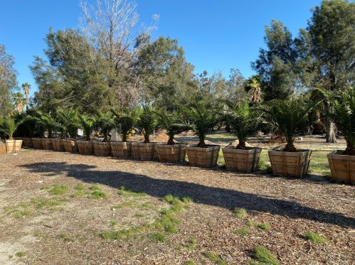 17505 Long Canyon Rd, Desert Hot Springs, CA 92241-8601