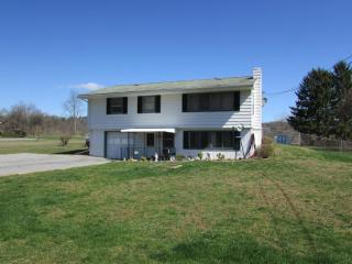 1206 Youngs Rd, Linden, PA 17744-7941