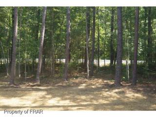 11 Mamie Ferguson Dr, Lillington, NC 27546-6642