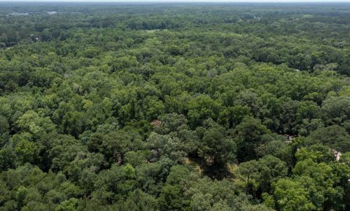 1160 Biering Rd, Johns Island SC  29455-8508 exterior