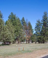 325 Cowboy St, Black Butte Ranch, OR 97759-5035
