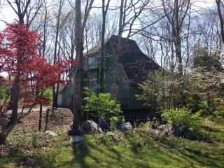 701 Judith Dr, Johnson City TN  37604-1924 exterior