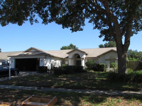 12304 Windswept Ave, Riverview, FL 33569-4147