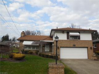 300 Sanderson Ave, Campbell, OH 44405-1409