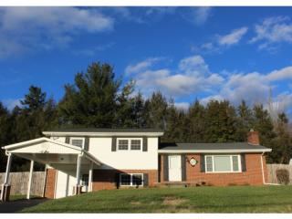 610 Pine Hill Rd, Elizabethton, TN 37643-4043