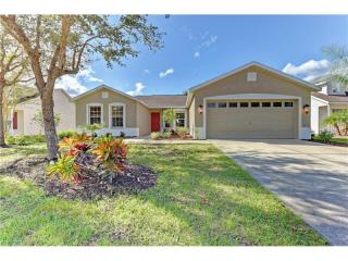 4111 Malickson Dr, Parrish, FL 34219-7541