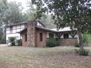 1897 Squirrel Tree Ave, Lecanto, FL 34461-9735