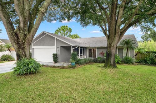 2719 Witley Ave, Palm Harbor, FL 34685-1324
