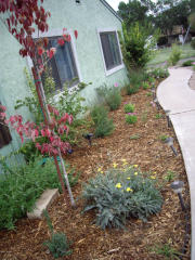 243 Papago St, Springville, AZ 85938-5223