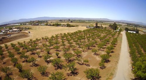 835 Foothill Rd, Hollister, CA 95023-9419