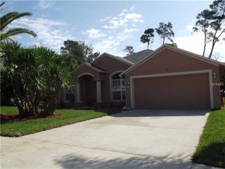161 Long Pine Dr, Deltona, FL 32725-9450