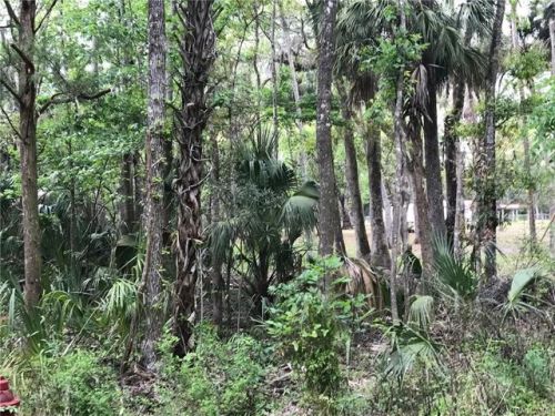 10509 Larchwood St, Homosassa, FL 34448-4355