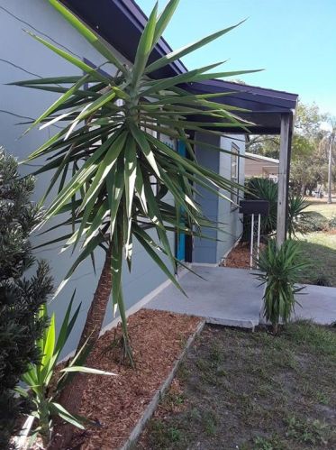 4922 5th Ave, Saint Petersburg, FL 33707-2602
