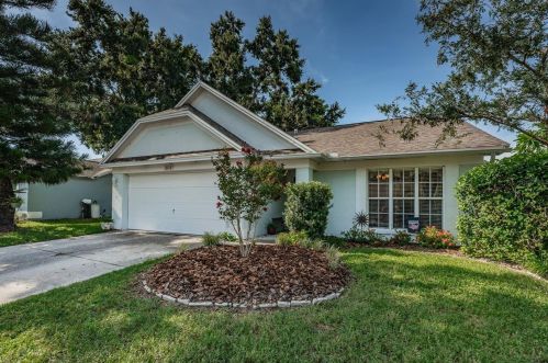 3119 Sean Way, Palm Harbor, FL 34684-1653