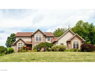 10867 Ellison Crk Dr, Concord Township OH  44077-5931 exterior