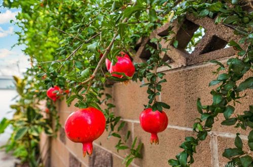 14833 Saticoy St, Van Nuys CA 91406-2129 exterior