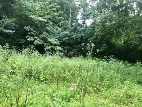 60 Rockland Dr, Oaklevel, VA 24055-7005