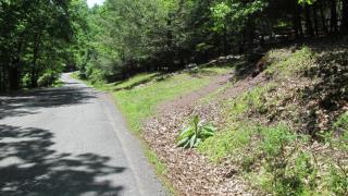 164 Vista Rd, Cresco PA  18326 exterior