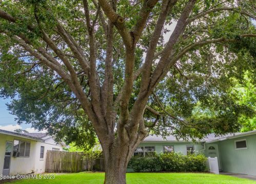 3100 Rosemarie Dr, Titusville FL  32796-2321 exterior