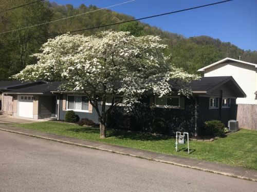 114 Hillside Dr, Sloan, KY 41653-1489