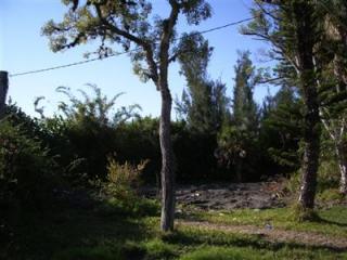 971 Main St, Sanibel, FL 33957-4531