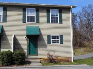 1601 Herrin Dr, Johnson City TN  37604-7189 exterior