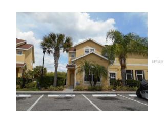 11039 Winter Crest Dr, Riverview FL  33569-2015 exterior