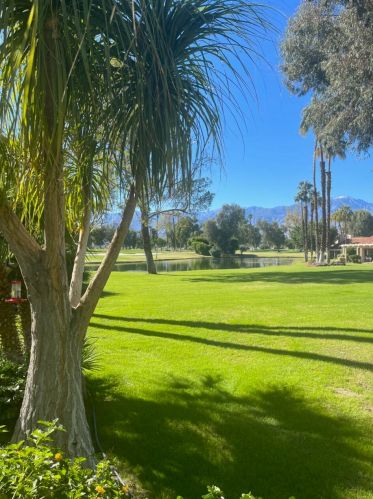 138 Racquet Club Dr, Rancho Mirage, CA 92270-1461