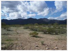 8724 193rd Dr, Waddell, AZ 85355-9674