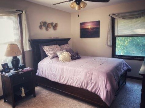 3828 Kingsway Dr, Crown Point IN  46307-8982 exterior