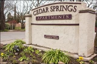 1068 Running Springs Cir, Chico CA  95973-9115 exterior