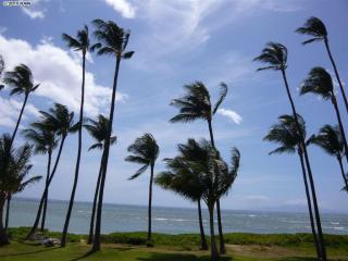 1310 Uluniu Rd, Wailea, HI 96753-8259