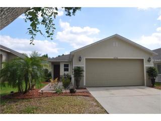 11712 Mango Cross Ct, Seffner, FL 33584-6410