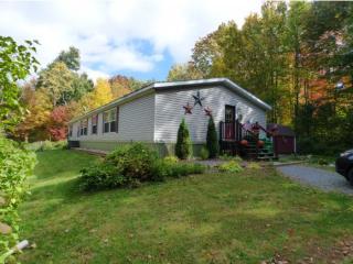 147 Plumb Rd, Whitingham, VT 05361-9784